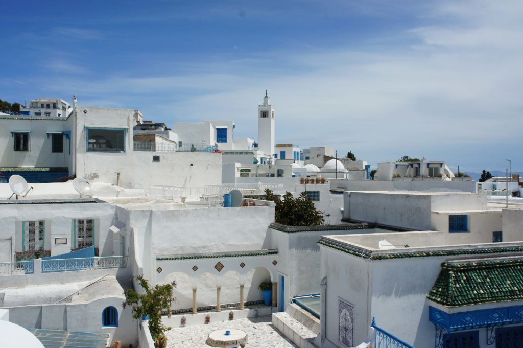 Read more about the article Tunis, Carthage and Sidi Bou Said – Tunisia