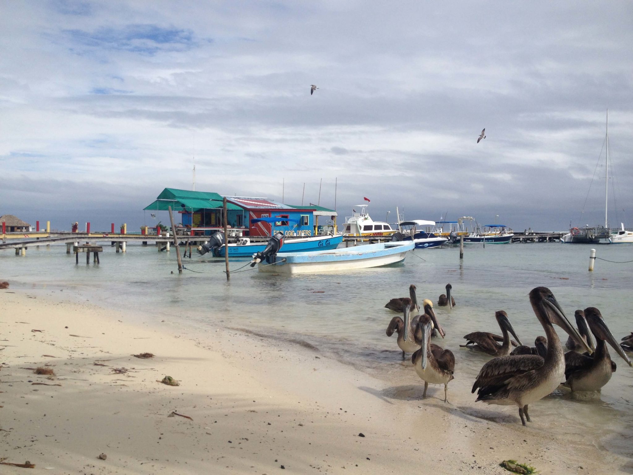San Pedro Island Belize Travelwider