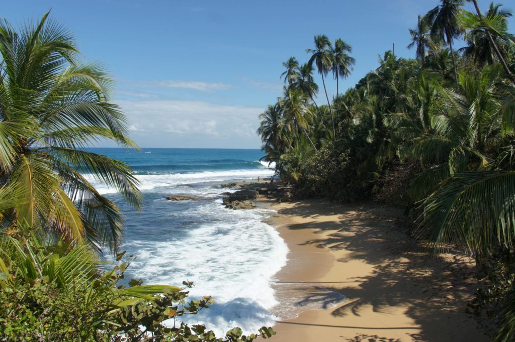 Read more about the article Cahuita and Puerto Viejo – Costa Rica
