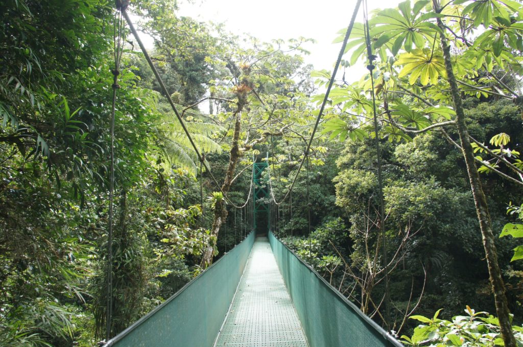 Read more about the article Monteverde and Arenal – Costa Rica
