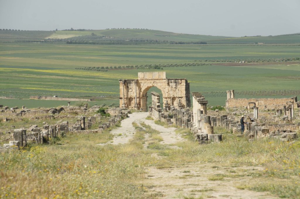Read more about the article Volubilis – Morocco