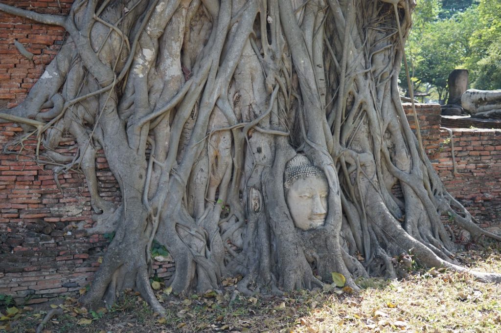 Read more about the article Ayutthaya – Thailand