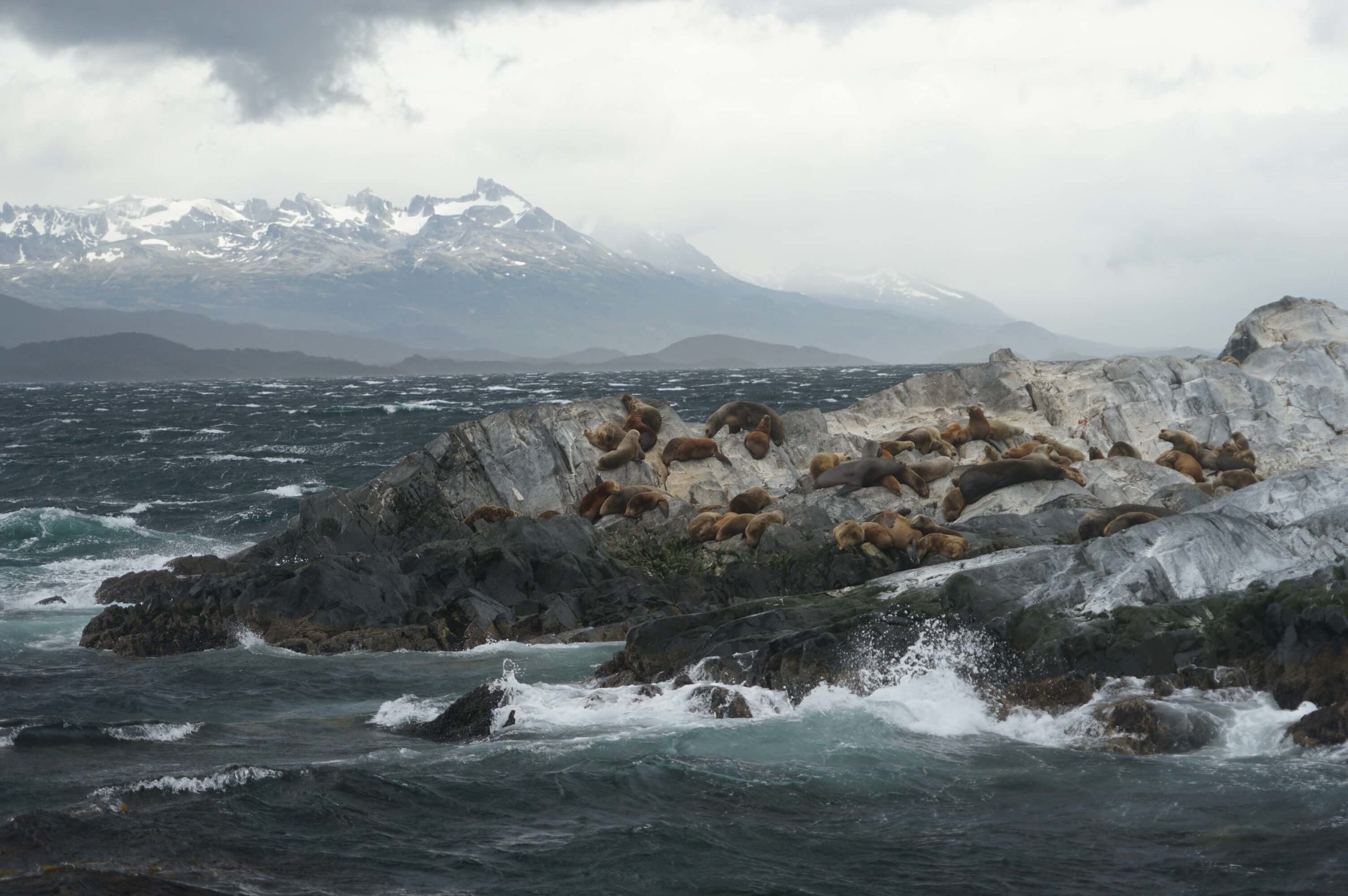 You are currently viewing Tierra del Fuego – Argentina